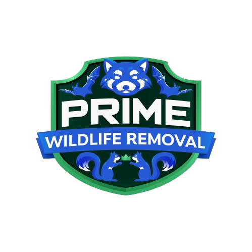 Wildlife Removal Martinsville